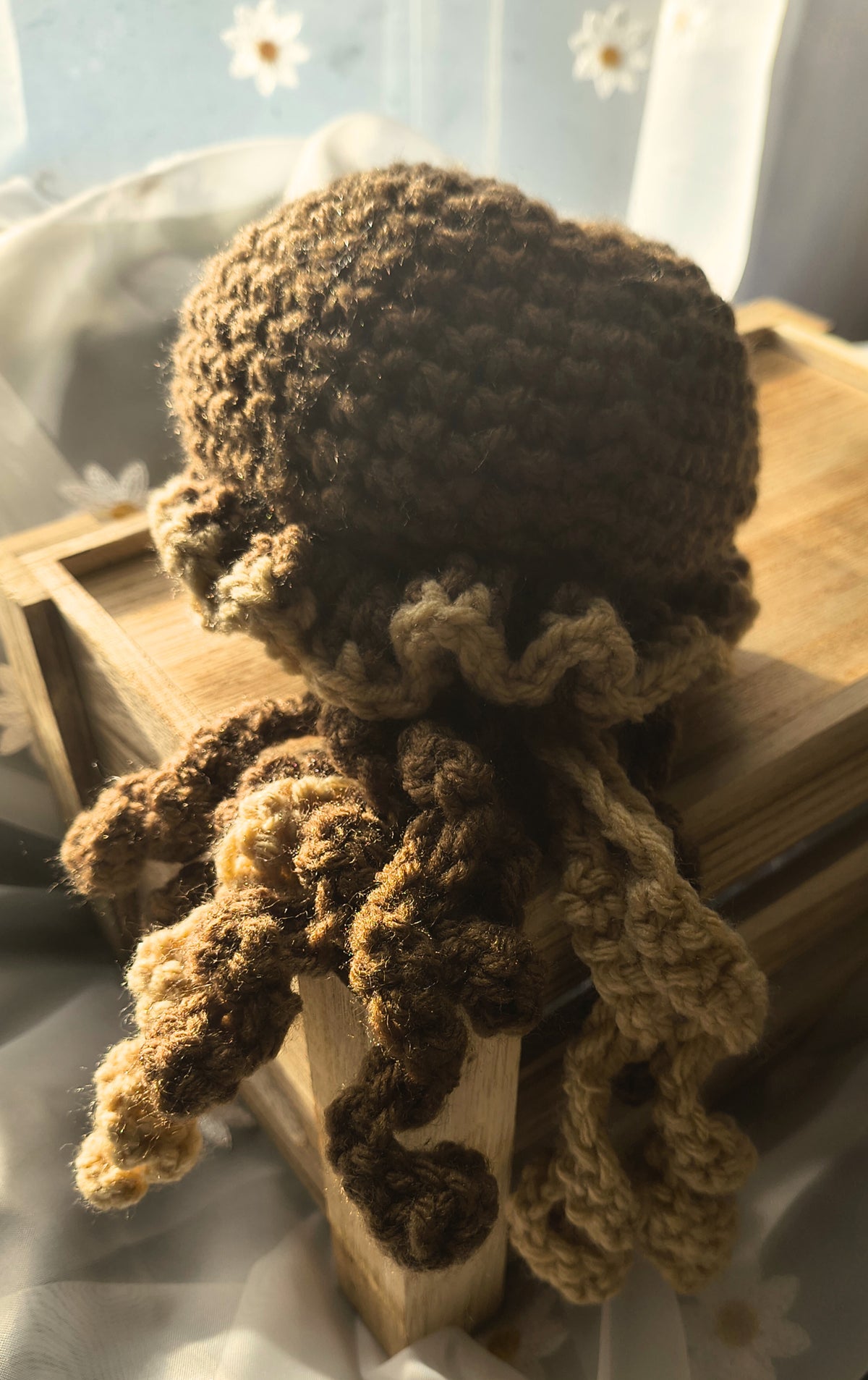 Mocha Regular Sized Jellyfish